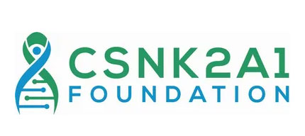 Logo of CSNK2A1 Foundation.